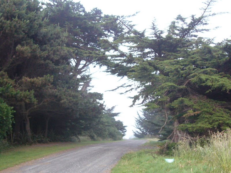 Travel - New Zealand - Kaikoura